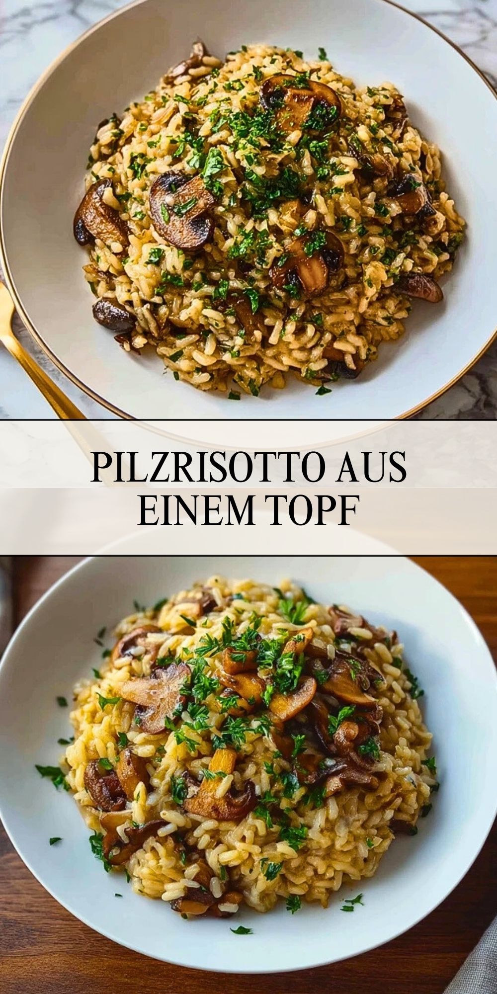 Pilzrisotto aus einem Topf